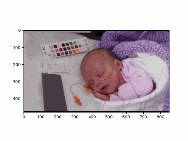 Baby Video (0.5-3.0 Hz)